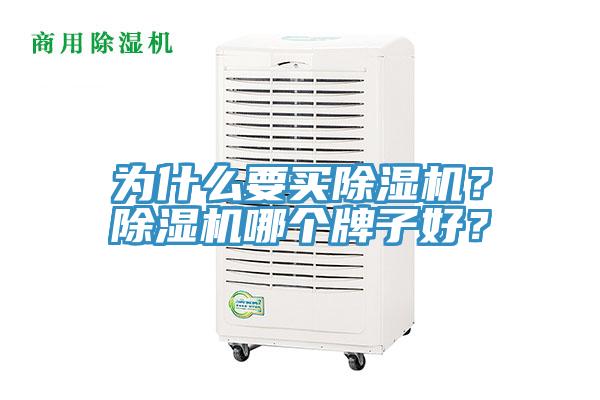 為什么要買除濕機？除濕機哪個牌子好？