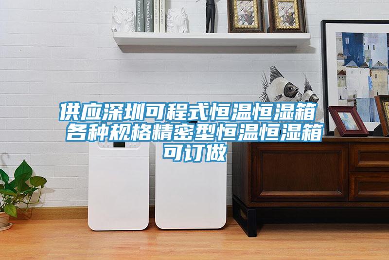 供應深圳可程式恒溫恒濕箱 各種規(guī)格精密型恒溫恒濕箱可訂做