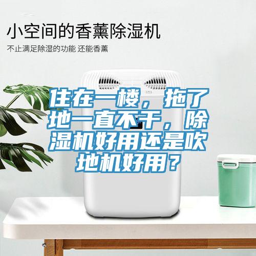 住在一樓，拖了地一直不干，除濕機好用還是吹地機好用？