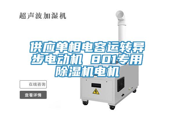 供應(yīng)單相電容運轉(zhuǎn)異步電動機(jī) 801專用除濕機(jī)電機(jī)