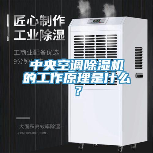 中央空調(diào)除濕機(jī)的工作原理是什么？