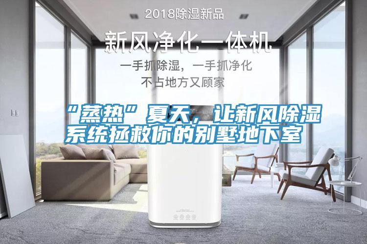 “蒸熱”夏天，讓新風(fēng)除濕系統(tǒng)拯救你的別墅地下室