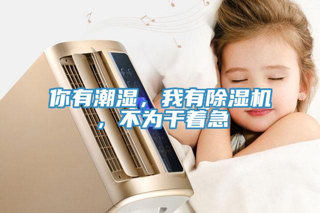 你有潮濕，我有除濕機，不為干著急