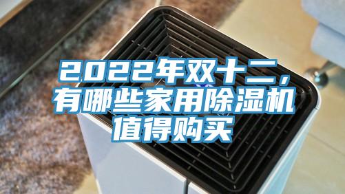2022年雙十二，有哪些家用除濕機值得購買