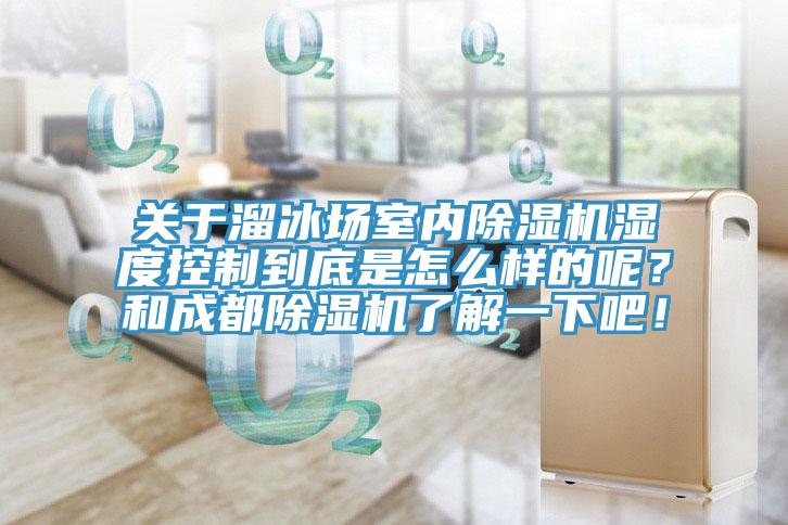 關于溜冰場室內(nèi)除濕機濕度控制到底是怎么樣的呢？和成都除濕機了解一下吧！