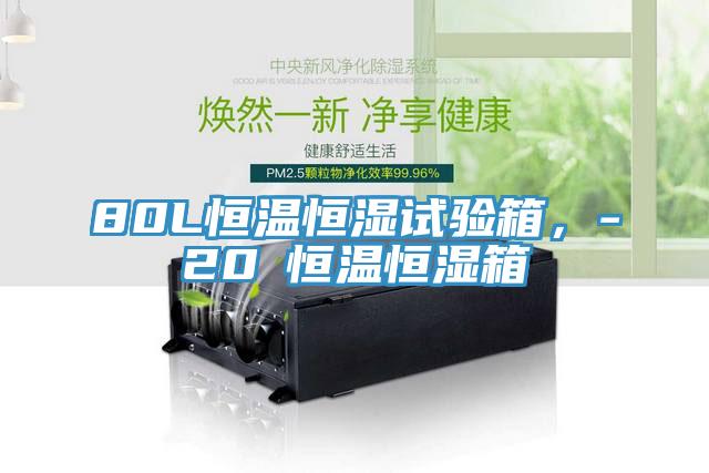 80L恒溫恒濕試驗(yàn)箱，-20℃恒溫恒濕箱