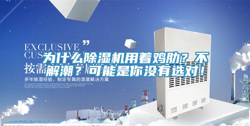 為什么除濕機用著雞肋？不解潮？可能是你沒有選對！