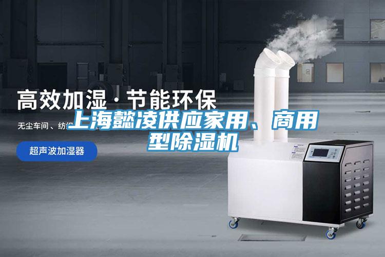 上海懿凌供應(yīng)家用、商用型除濕機(jī)