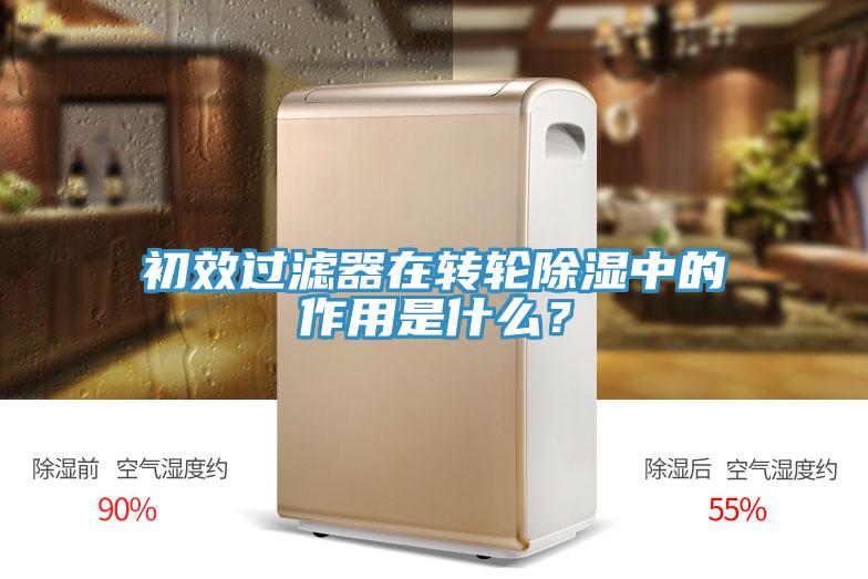 初效過濾器在轉輪除濕中的作用是什么？