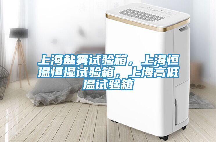上海鹽霧試驗(yàn)箱，上海恒溫恒濕試驗(yàn)箱，上海高低溫試驗(yàn)箱