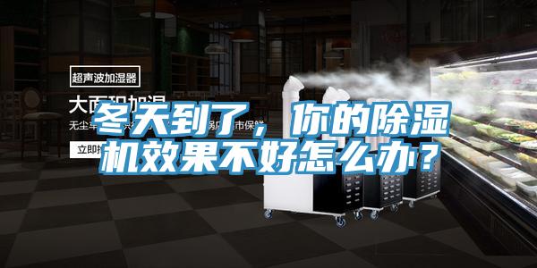 冬天到了，你的除濕機效果不好怎么辦？