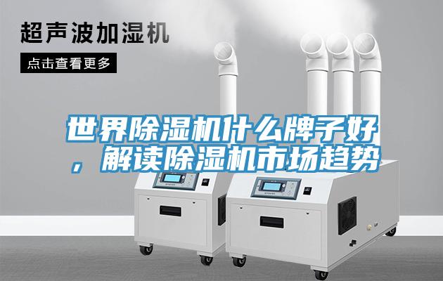 世界除濕機(jī)什么牌子好，解讀除濕機(jī)市場(chǎng)趨勢(shì)