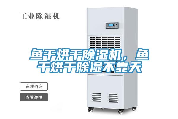 魚干烘干除濕機(jī)，魚干烘干除濕不靠天