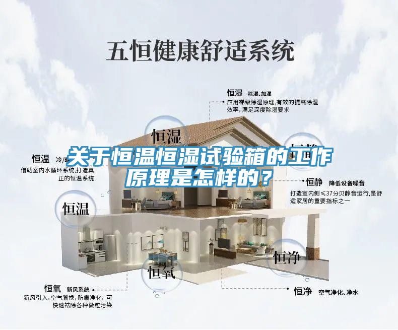 關(guān)于恒溫恒濕試驗箱的工作原理是怎樣的？