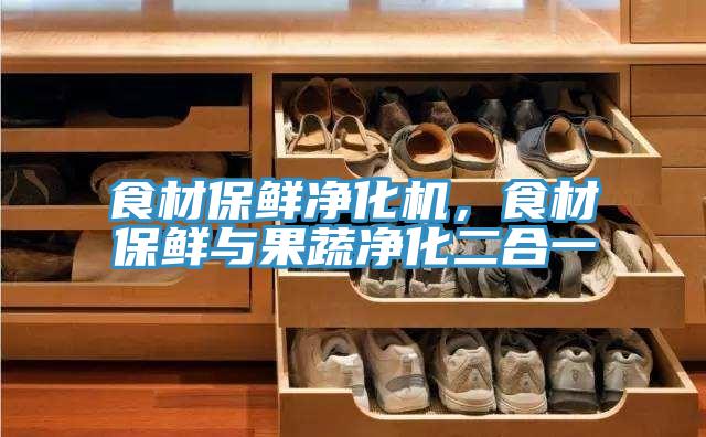 食材保鮮凈化機，食材保鮮與果蔬凈化二合一