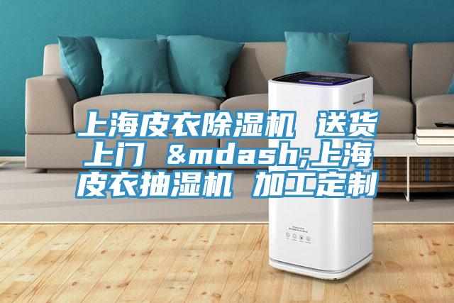 上海皮衣除濕機(jī) 送貨上門(mén) —上海皮衣抽濕機(jī) 加工定制