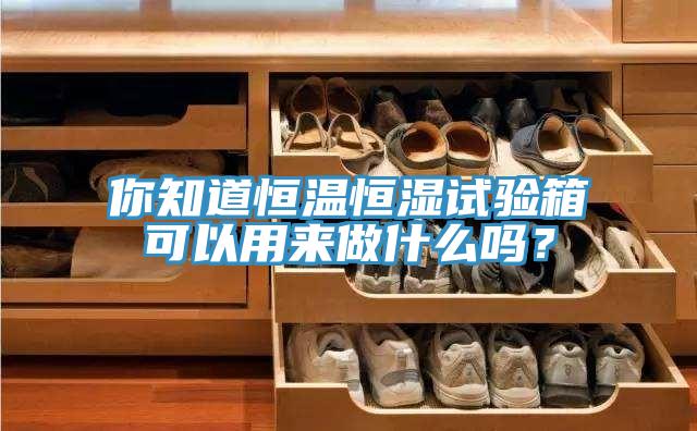 你知道恒溫恒濕試驗(yàn)箱可以用來做什么嗎？