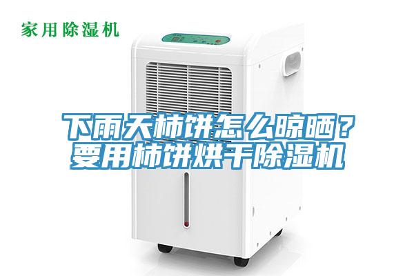 下雨天柿餅怎么晾曬？要用柿餅烘干除濕機
