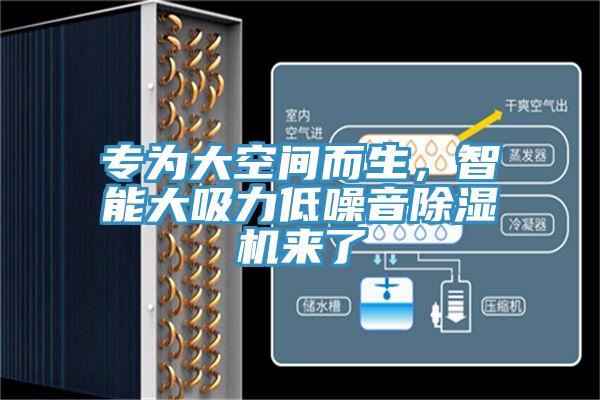 專為大空間而生，智能大吸力低噪音除濕機(jī)來(lái)了