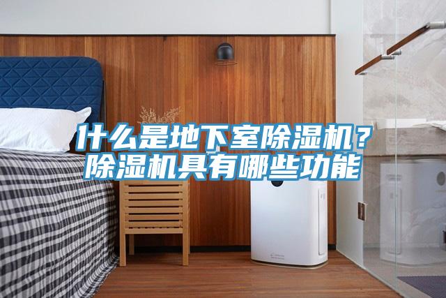 什么是地下室除濕機(jī)？除濕機(jī)具有哪些功能