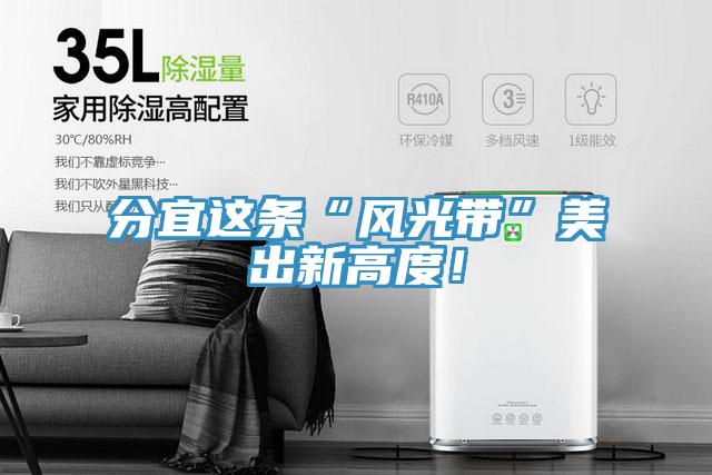 分宜這條“風光帶”美出新高度！