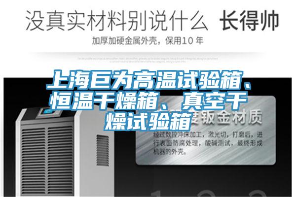 上海巨為高溫試驗箱、恒溫干燥箱、真空干燥試驗箱
