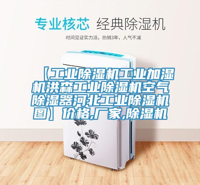 【工業(yè)除濕機(jī)工業(yè)加濕機(jī)洪森工業(yè)除濕機(jī)空氣除濕器河北工業(yè)除濕機(jī)圖】價(jià)格,廠家,除濕機(jī)