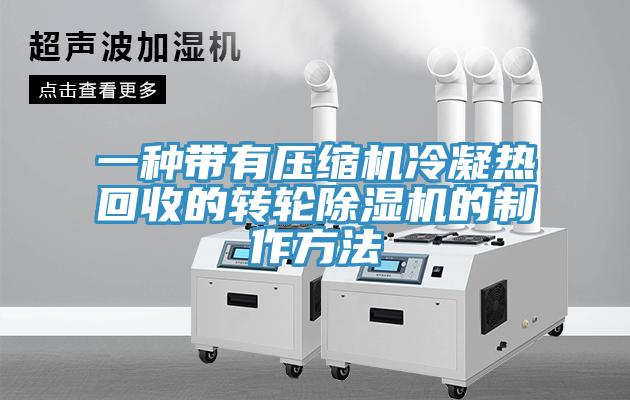 一種帶有壓縮機冷凝熱回收的轉(zhuǎn)輪除濕機的制作方法
