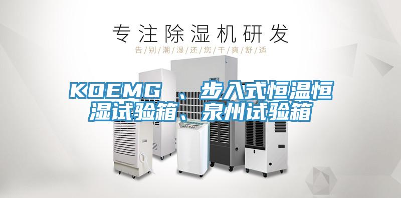 KOEMG 、步入式恒溫恒濕試驗箱、泉州試驗箱