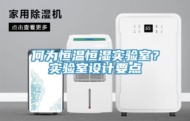 何為恒溫恒濕實(shí)驗(yàn)室？實(shí)驗(yàn)室設(shè)計(jì)要點(diǎn)