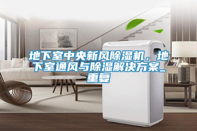 地下室中央新風除濕機，地下室通風與除濕解決方案_重復