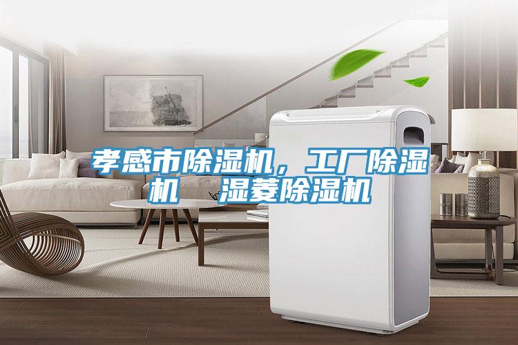 孝感市除濕機(jī)，工廠除濕機(jī)  濕菱除濕機(jī)