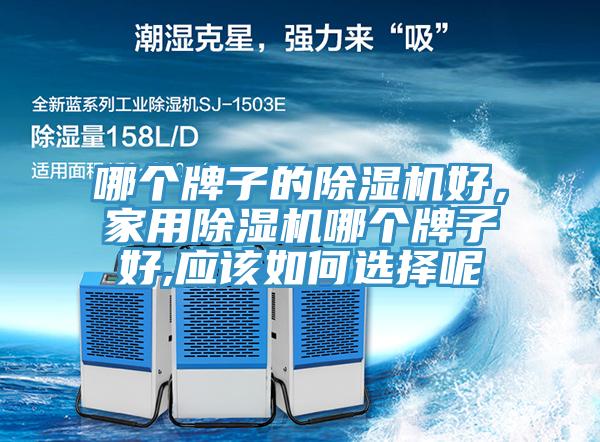 哪個牌子的除濕機好，家用除濕機哪個牌子好,應該如何選擇呢