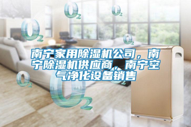 南寧家用除濕機公司，南寧除濕機供應商，南寧空氣凈化設備銷售
