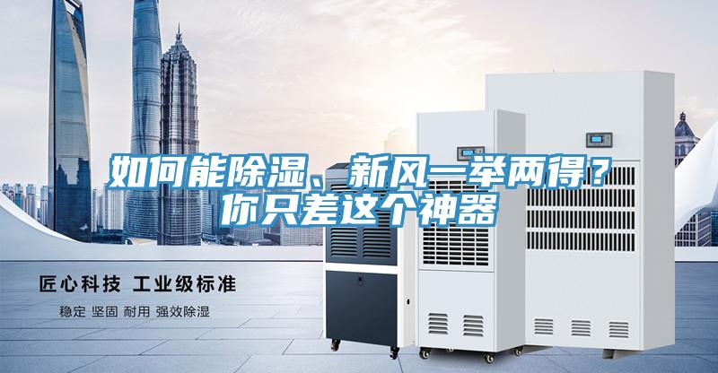 如何能除濕、新風一舉兩得？你只差這個神器