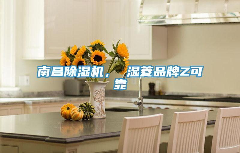 南昌除濕機， 濕菱品牌Z可靠