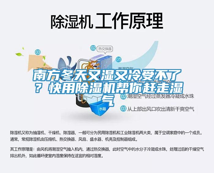南方冬天又濕又冷受不了？快用除濕機(jī)幫你趕走濕氣