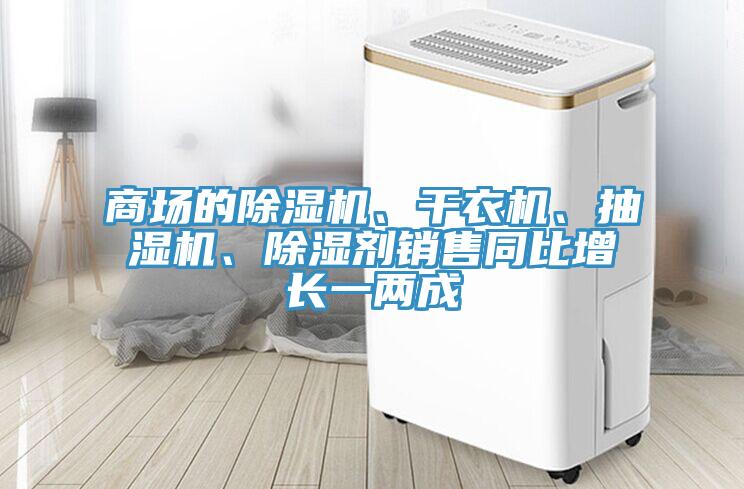 商場的除濕機、干衣機、抽濕機、除濕劑銷售同比增長一兩成