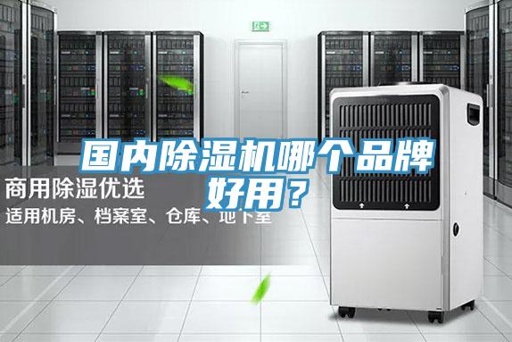 國內(nèi)除濕機(jī)哪個(gè)品牌好用？