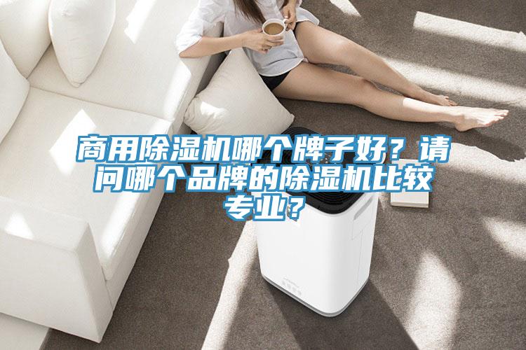 商用除濕機(jī)哪個(gè)牌子好？請(qǐng)問哪個(gè)品牌的除濕機(jī)比較專業(yè)？
