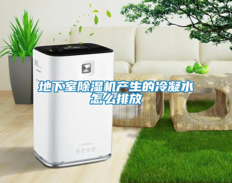 地下室除濕機產(chǎn)生的冷凝水怎么排放