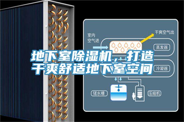 地下室除濕機，打造干爽舒適地下室空間