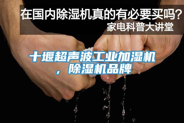 十堰超聲波工業(yè)加濕機(jī)，除濕機(jī)品牌