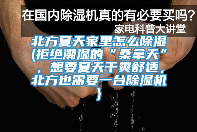 北方夏天家里怎么除濕(拒絕潮濕的“桑拿天”，想要夏天干爽舒適，北方也需要一臺除濕機)