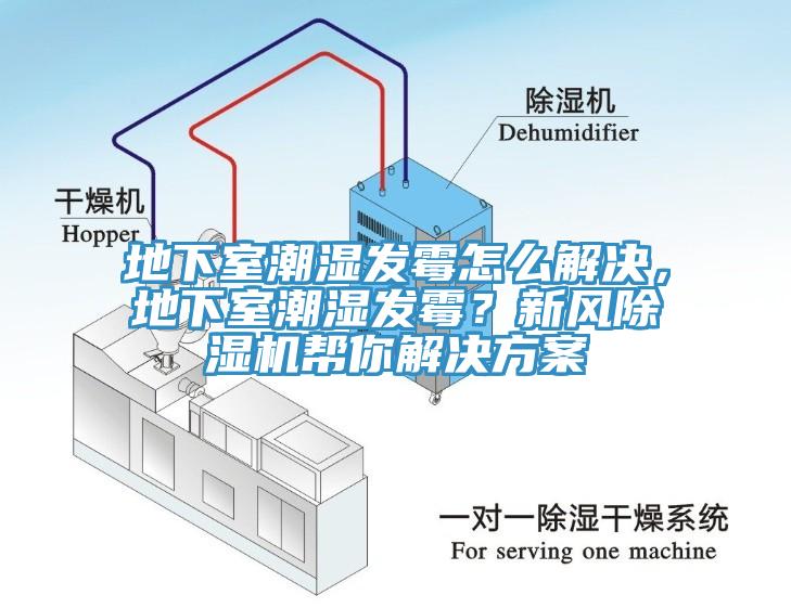 地下室潮濕發(fā)霉怎么解決，地下室潮濕發(fā)霉？新風(fēng)除濕機(jī)幫你解決方案