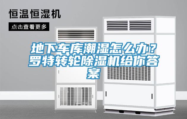 地下車庫潮濕怎么辦？羅特轉(zhuǎn)輪除濕機(jī)給你答案
