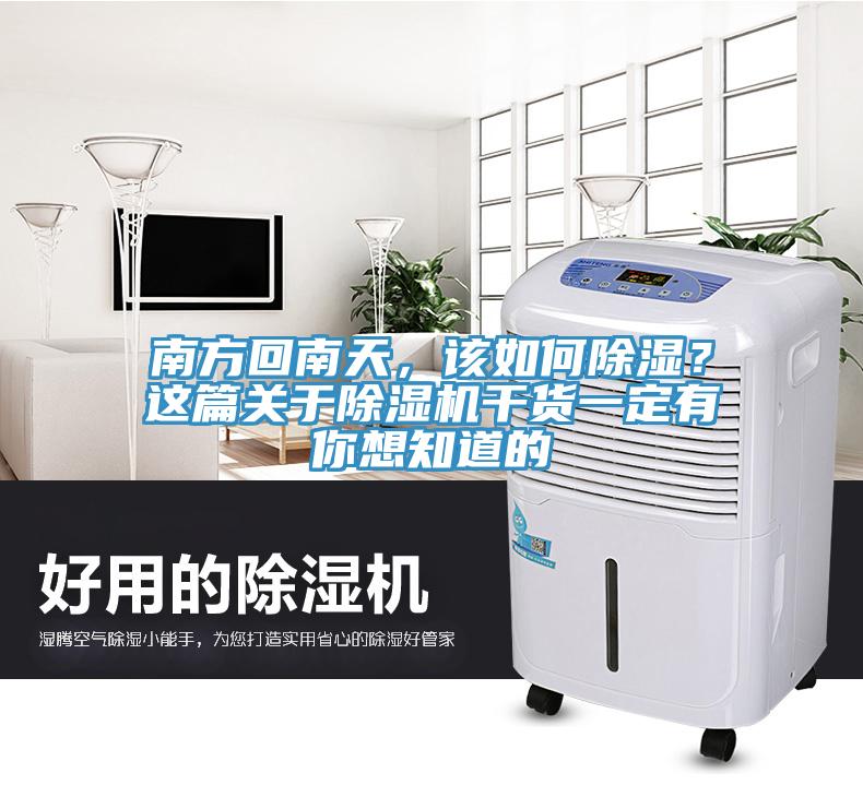 南方回南天，該如何除濕？這篇關(guān)于除濕機干貨一定有你想知道的