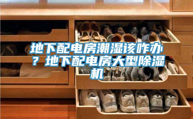 地下配電房潮濕該咋辦？地下配電房大型除濕機