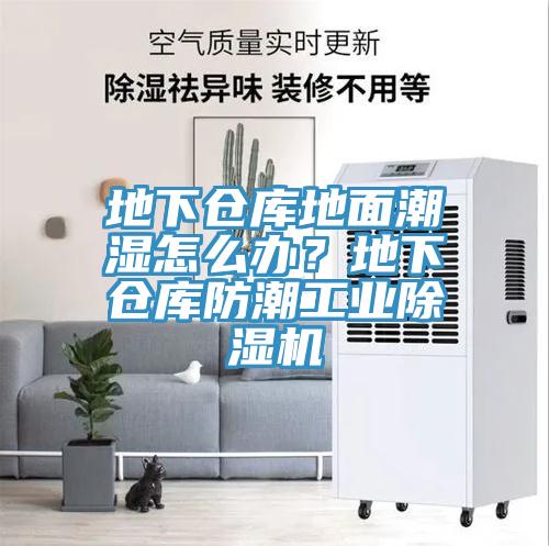 地下倉庫地面潮濕怎么辦？地下倉庫防潮工業(yè)除濕機