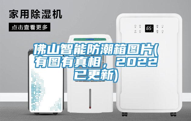 佛山智能防潮箱圖片(有圖有真相，2022已更新)